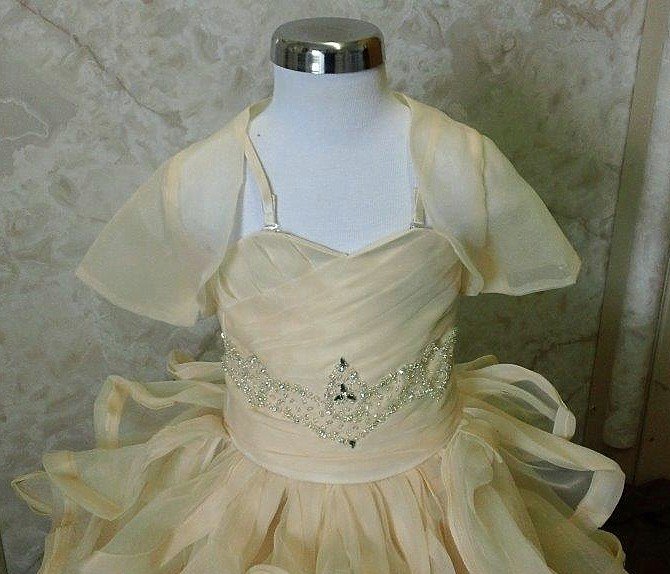 2 year old flower girl dress 